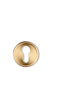 7865 Polished Brass with Powder Coated White